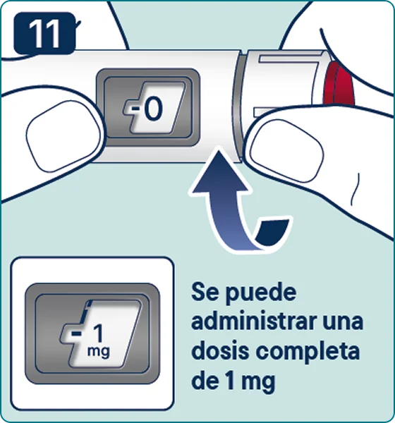 Ilustración del paso 11