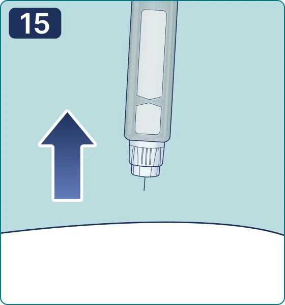 Ilustración del paso 15