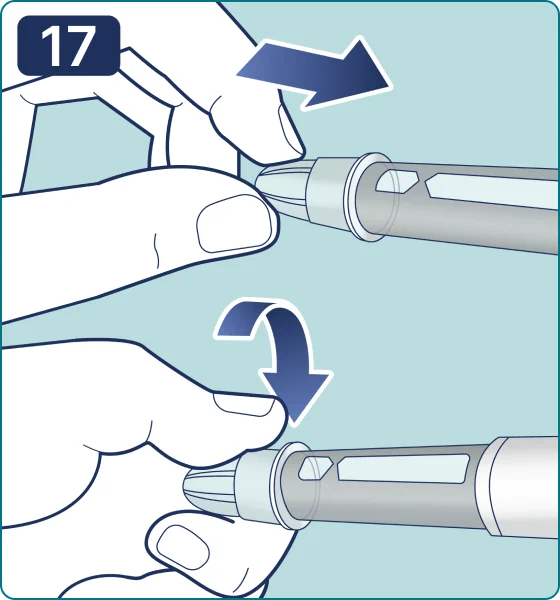Ilustración del paso 17
